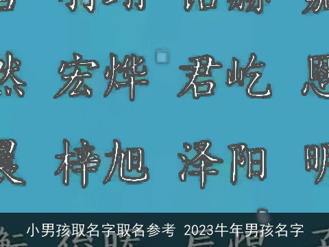 小男孩取名字取名参考 2023牛年男孩名字