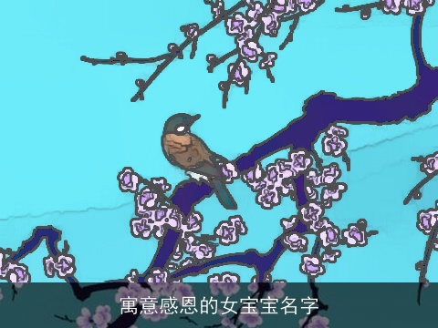 寓意感恩的女宝宝名字