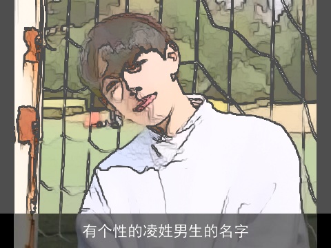 有个性的凌姓男生的名字