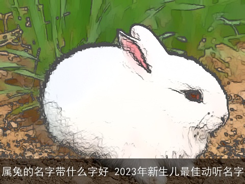 属兔的名字带什么字好 2023年新生儿最佳动听名字