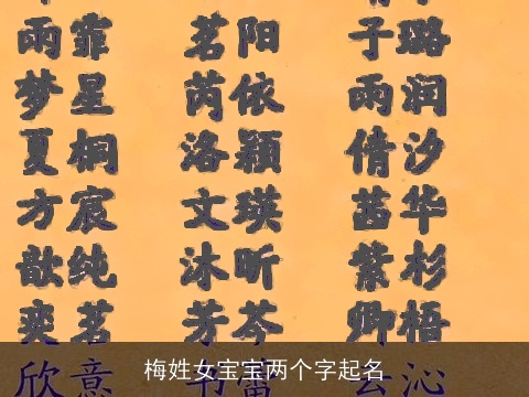 梅姓女宝宝两个字起名