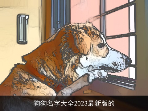 狗狗名字大全2023最新版的