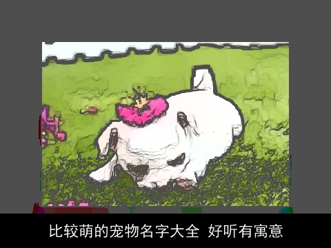 比较萌的宠物名字大全 好听有寓意