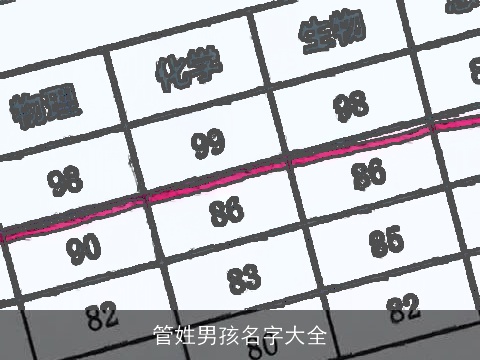 管姓男孩名字大全