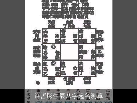 许哲彤生辰八字起名测算