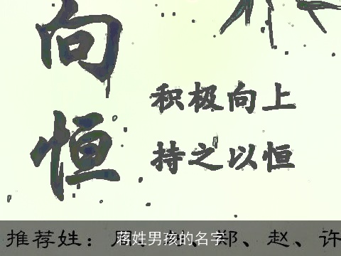 蒋姓男孩的名字