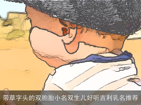 带草字头的双胞胎小名双生儿好听吉利乳名推荐