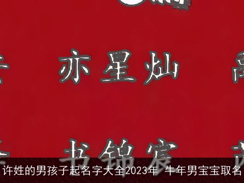 许姓的男孩子起名字大全2023年 龙年男宝宝取名