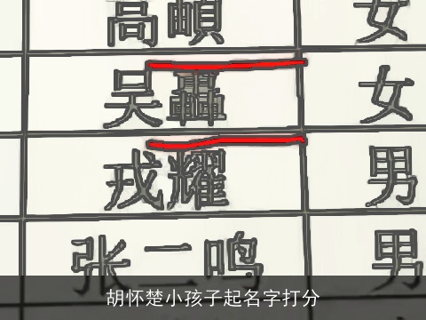 胡怀楚小孩子起名字打分