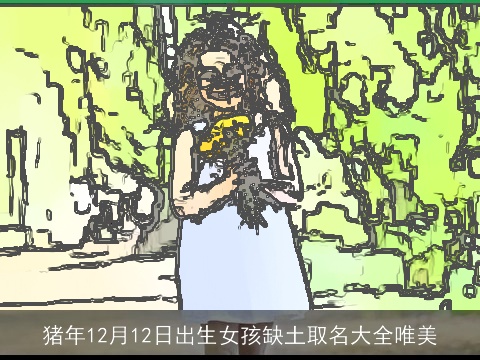 猪年12月12日出生女孩缺土取名大全唯美