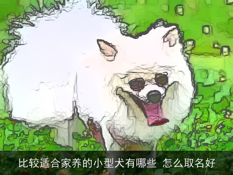比较适合家养的小型犬有哪些 怎么取名好