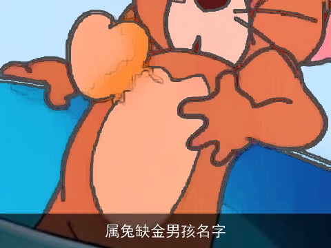 属兔缺金男孩名字