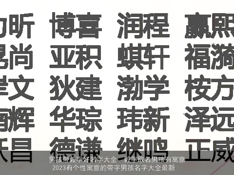 男孩带毅字好名字大全  毅字取名男孩有寓意 2023有个性寓意的带字男孩名字大全最新