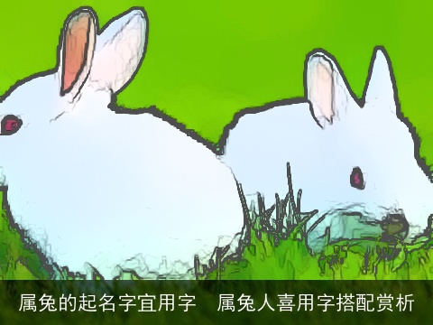 属兔的起名字宜用字  属兔人喜用字搭配赏析