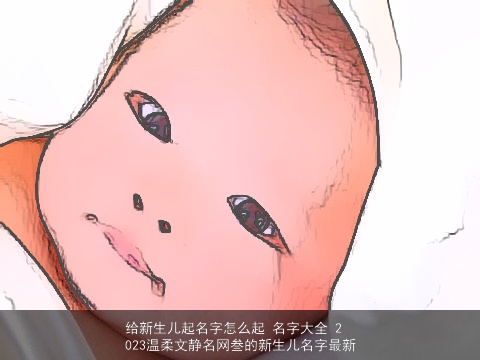 给新生儿起名字怎么起 名字大全 2023温柔文静名网叁的新生儿名字最新