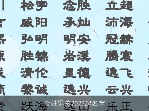 金姓男孩2023起名字