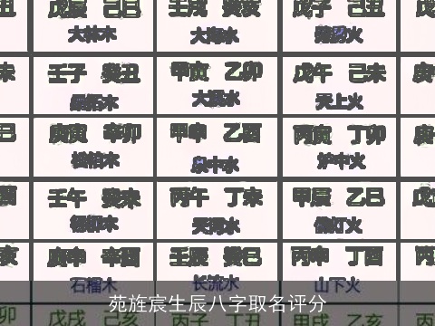 苑旌宸生辰八字取名评分