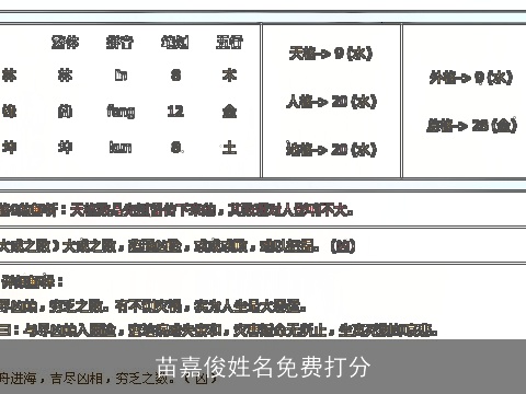 苗嘉俊姓名免费打分