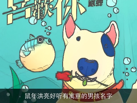 鼠年洪亮好听有寓意的男孩名字