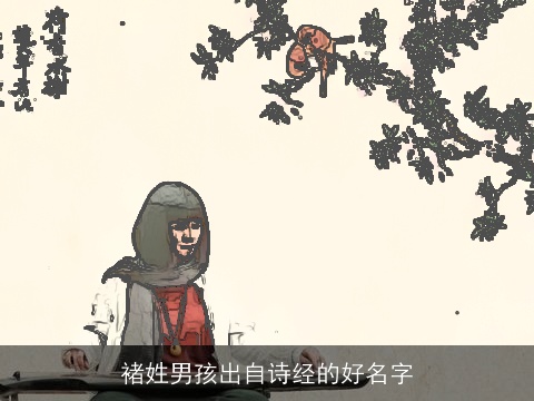 褚姓男孩出自诗经的好名字