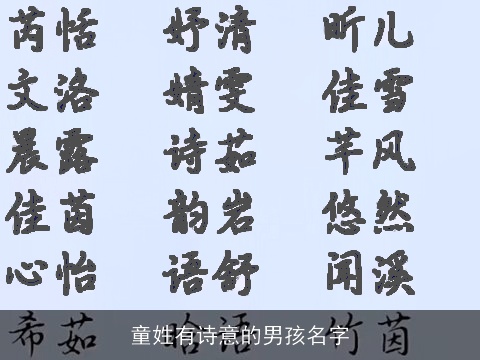 童姓有诗意的男孩名字