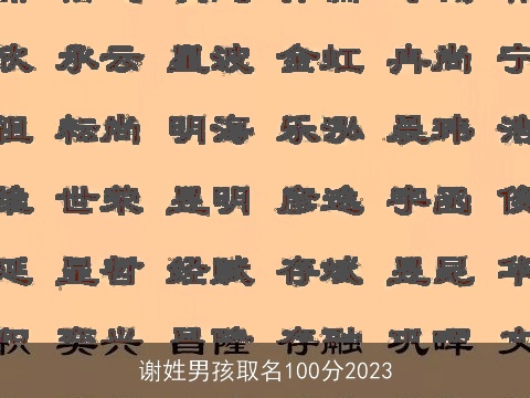 谢姓男孩取名100分2023