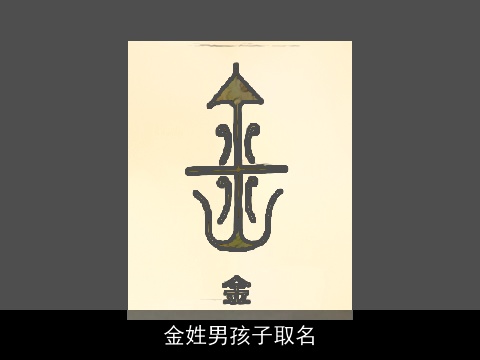 金姓男孩子取名