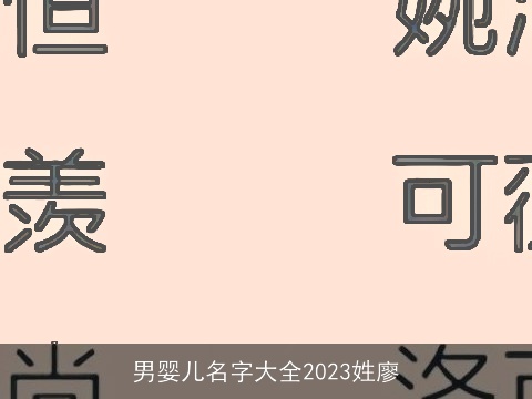 男婴儿名字大全2023姓廖