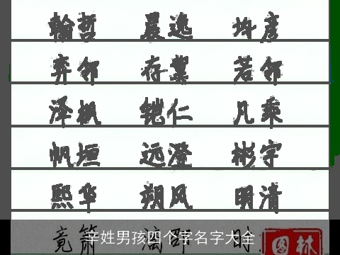辛姓男孩四个字名字大全