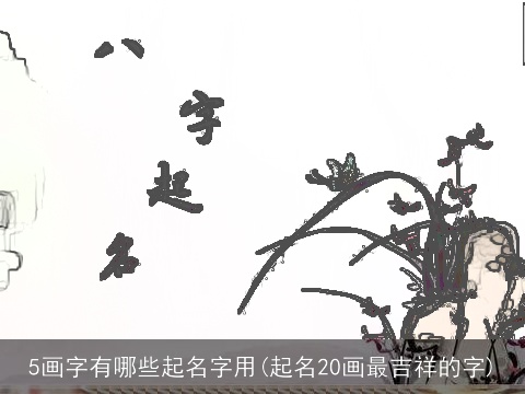 5画字有哪些起名字用(起名20画最吉祥的字)