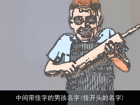 中间带佳字的男孩名字(佳开头的名字)