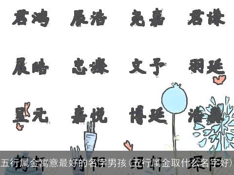 五行属金寓意最好的名字男孩(五行属金取什么名字好)