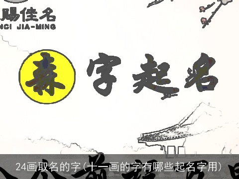 24画取名的字(十一画的字有哪些起名字用)