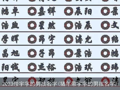 2023带宇字的男孩名字(猪年带宇字的男孩名字)