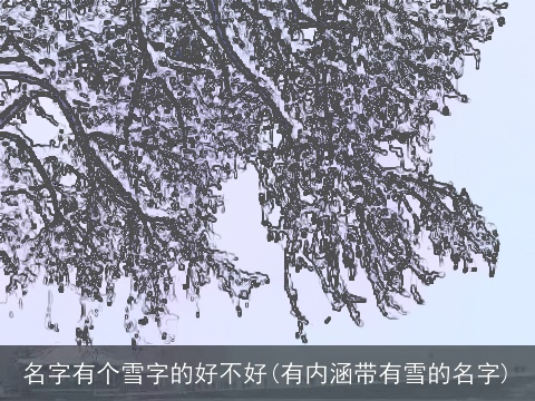名字有个雪字的好不好(有内涵带有雪的名字)