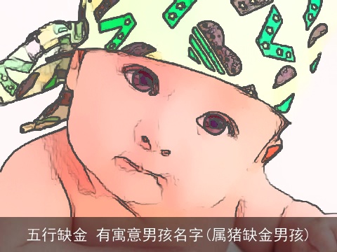 五行缺金 有寓意男孩名字(属猪缺金男孩)