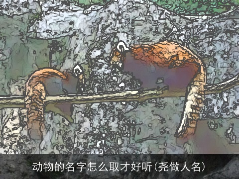 动物的名字怎么取才好听(尧做人名)