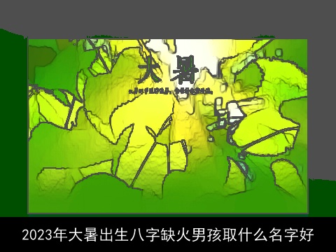 2023年大暑出生八字缺火男孩取什么名字好