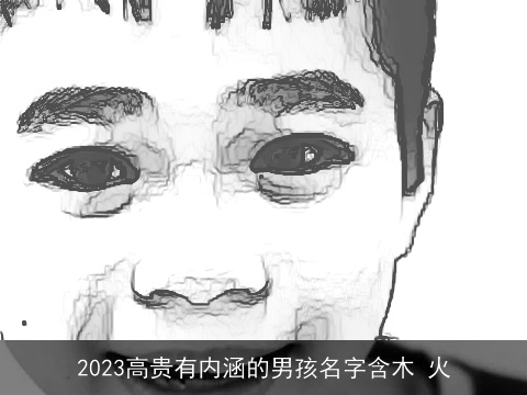 2023高贵有内涵的男孩名字含木 火