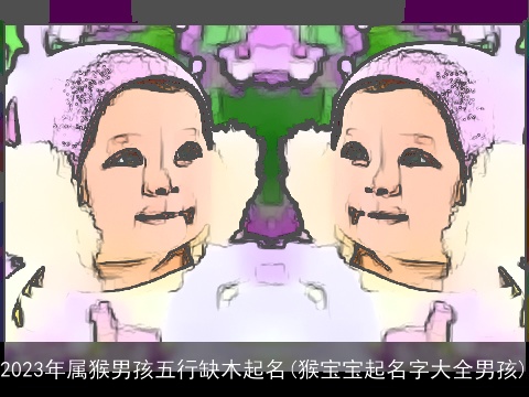 2023年属猴男孩五行缺木起名(猴宝宝起名字大全男孩)