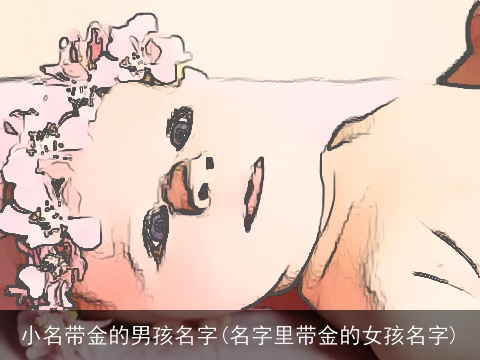小名带金的男孩名字(名字里带金的女孩名字)