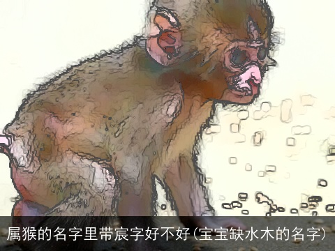 属猴的名字里带宸字好不好(宝宝缺水木的名字)