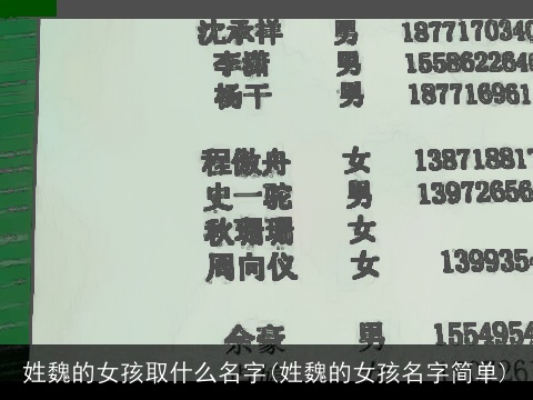 姓魏的女孩取什么名字(姓魏的女孩名字简单)