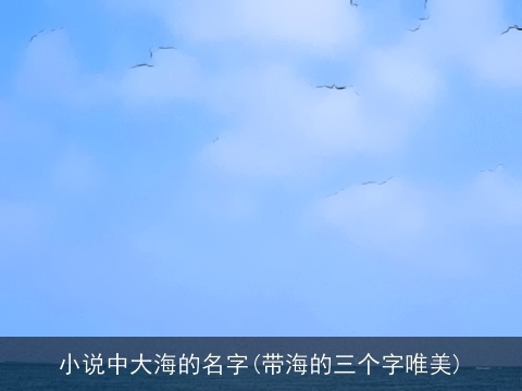 小说中大海的名字(带海的三个字唯美)