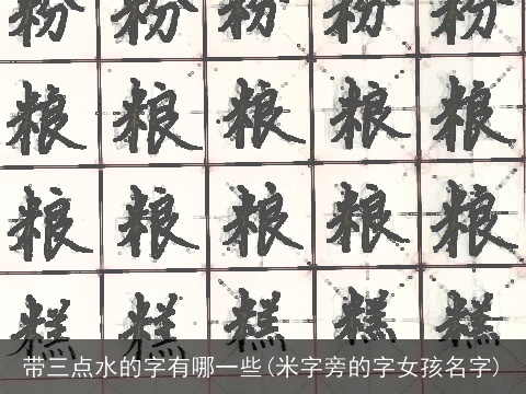 带三点水的字有哪一些(米字旁的字女孩名字)