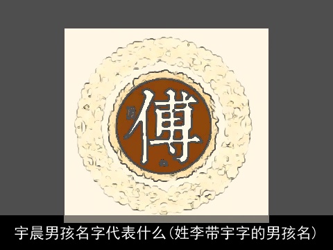 宇晨男孩名字代表什么(姓李带宇字的男孩名)