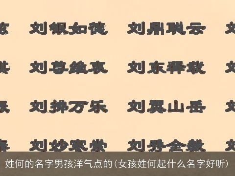 姓何的名字男孩洋气点的(女孩姓何起什么名字好听)