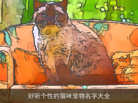 好听个性的猫咪宠物名字大全