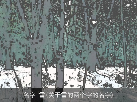 名字 雪(关于雪的两个字的名字)