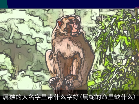 属猴的人名字里带什么字好(属蛇的命里缺什么)